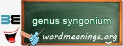 WordMeaning blackboard for genus syngonium